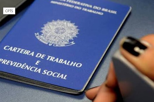 carteira t
