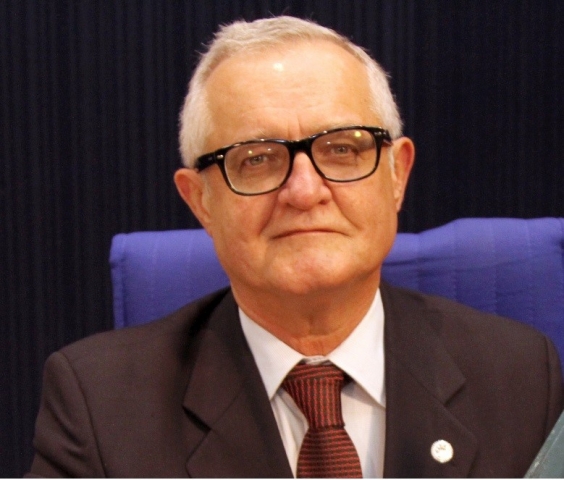 PARLAMENTARISMO: Organização do Poder Governamental e solução de crises(1)