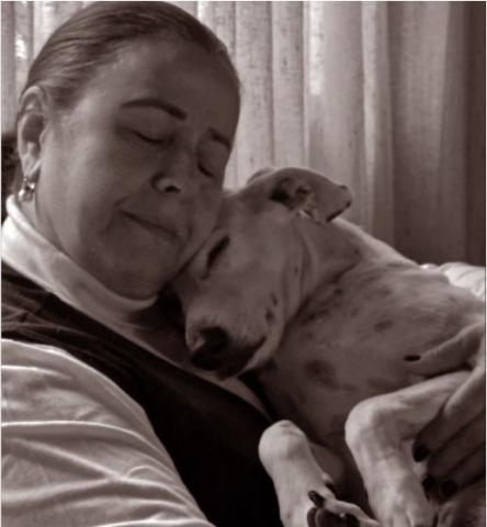 Os animais de estimação na separação de seus tutores